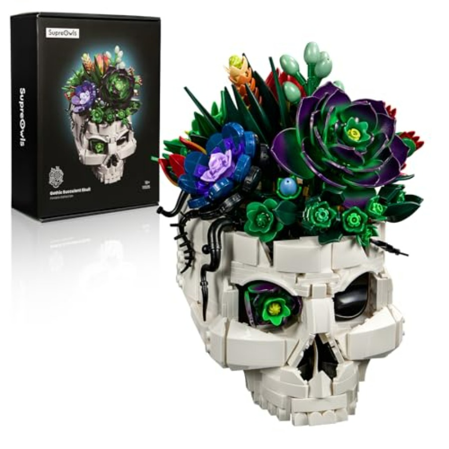 Succulent Skull Planter Buildi – Home Office Depot Bewertung und Preis