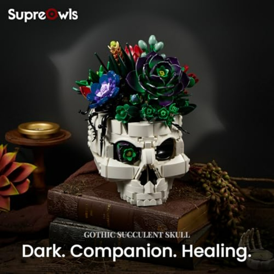 Succulent Skull Planter Buildi – Home Office Depot Bewertung und Preis