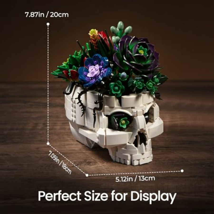 Succulent Skull Planter Buildi – Home Office Depot Bewertung und Preis