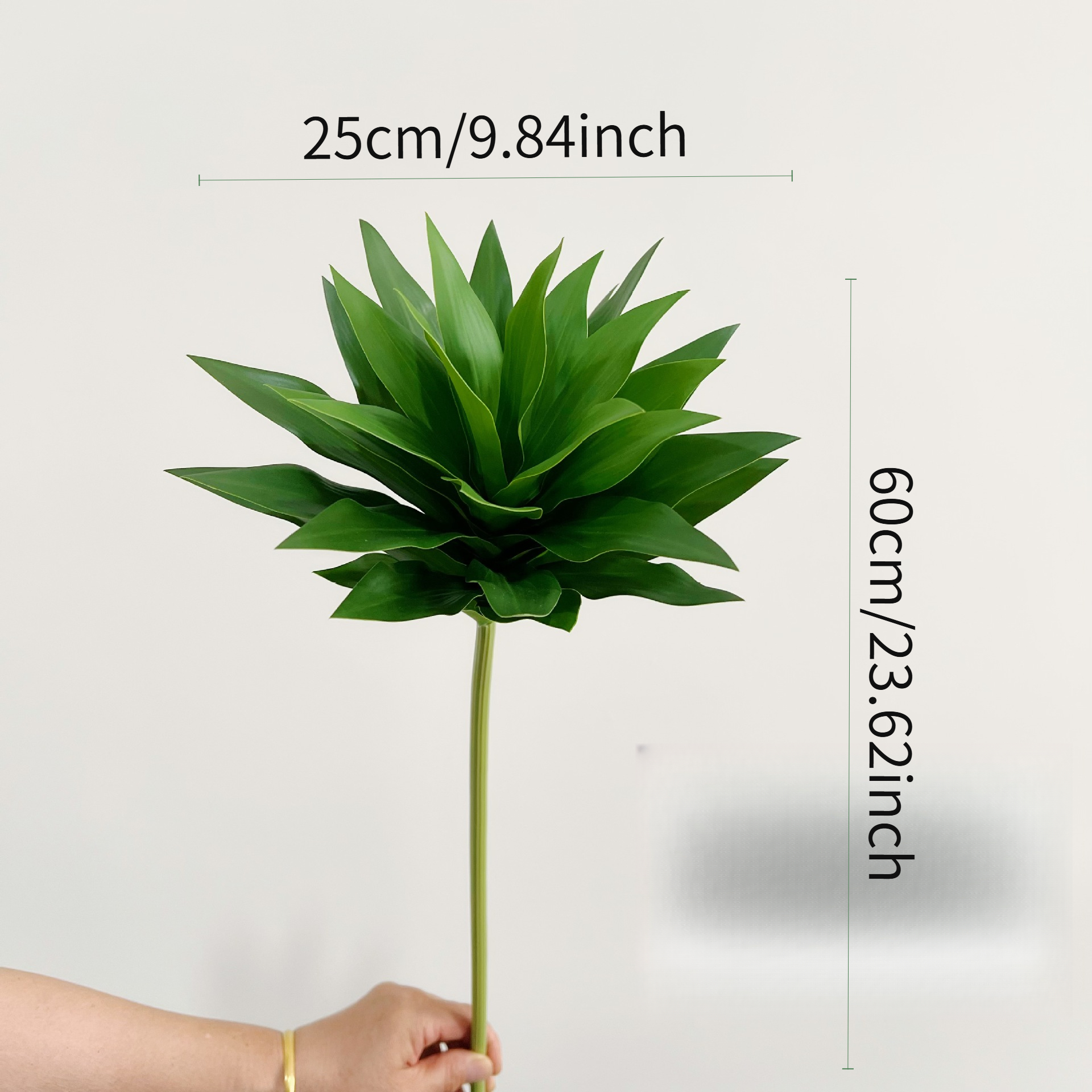 3 Lily Bamboo Potted Plants -  – Home Office Depot Bewertung und Preis